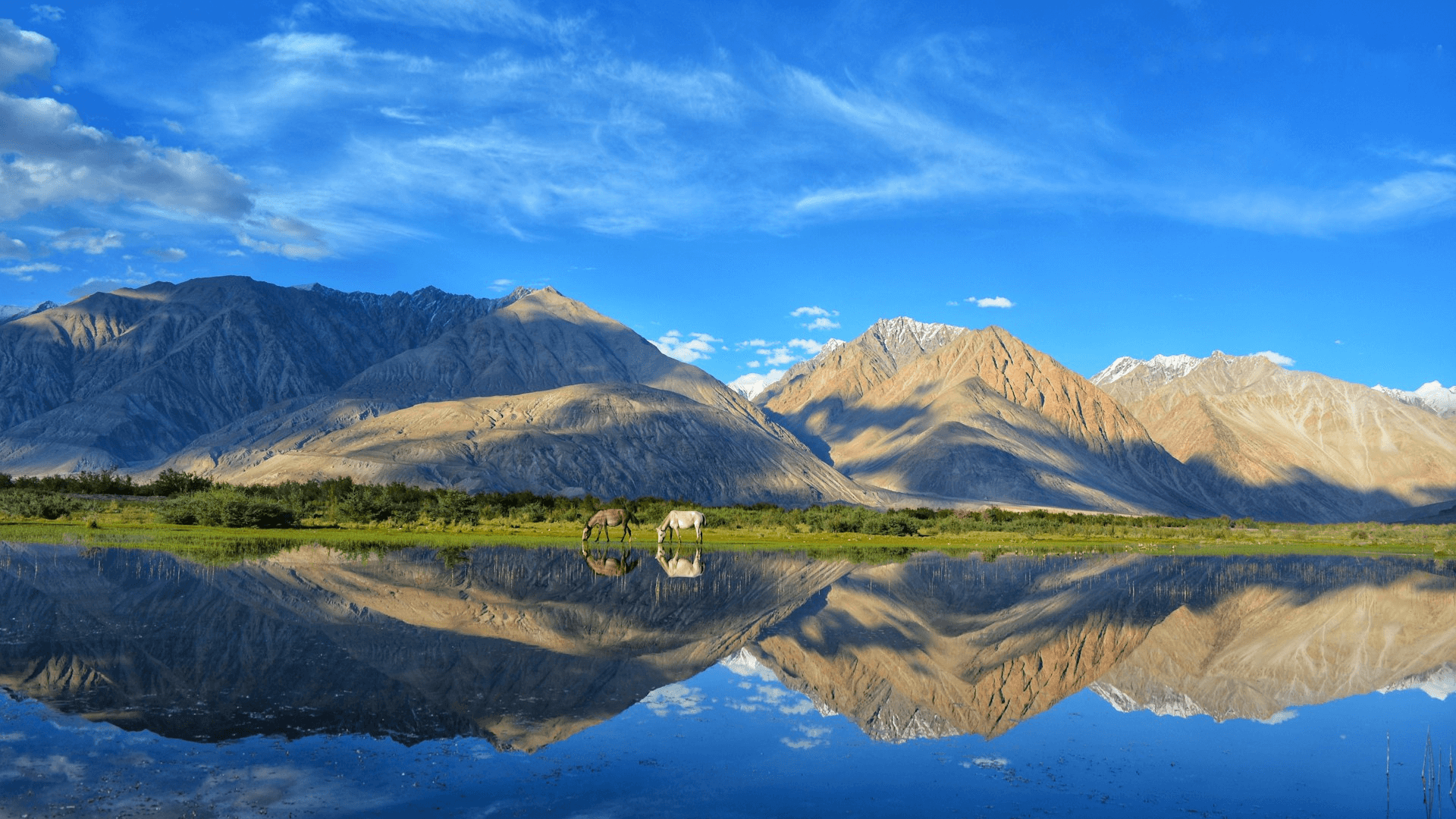 LADAKH – Haven on Earth